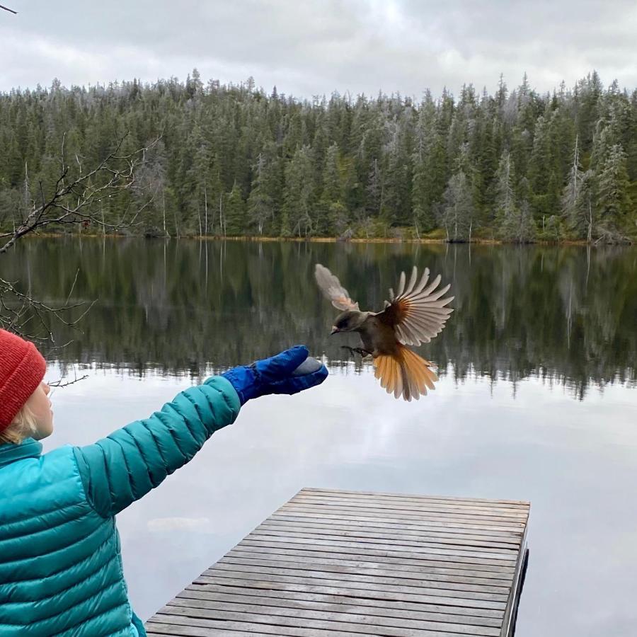 Villa Saarua By The Slopes Ski In, Family & Bike Park, Hike Trails, National Park, Wifi - Lapland Villas Ruka Bagian luar foto